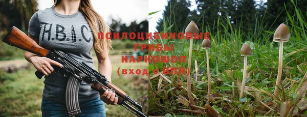 бошки Алексеевка