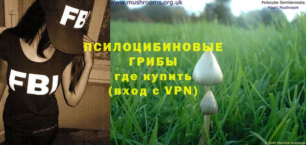 дмт Алзамай