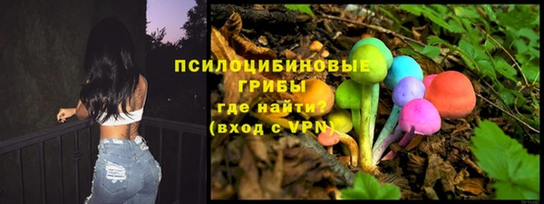 герыч Алексин